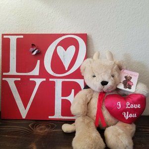 Teddy Bear Devil Bear I Love You Kids of America Brown Plush Valentines 1999 18"